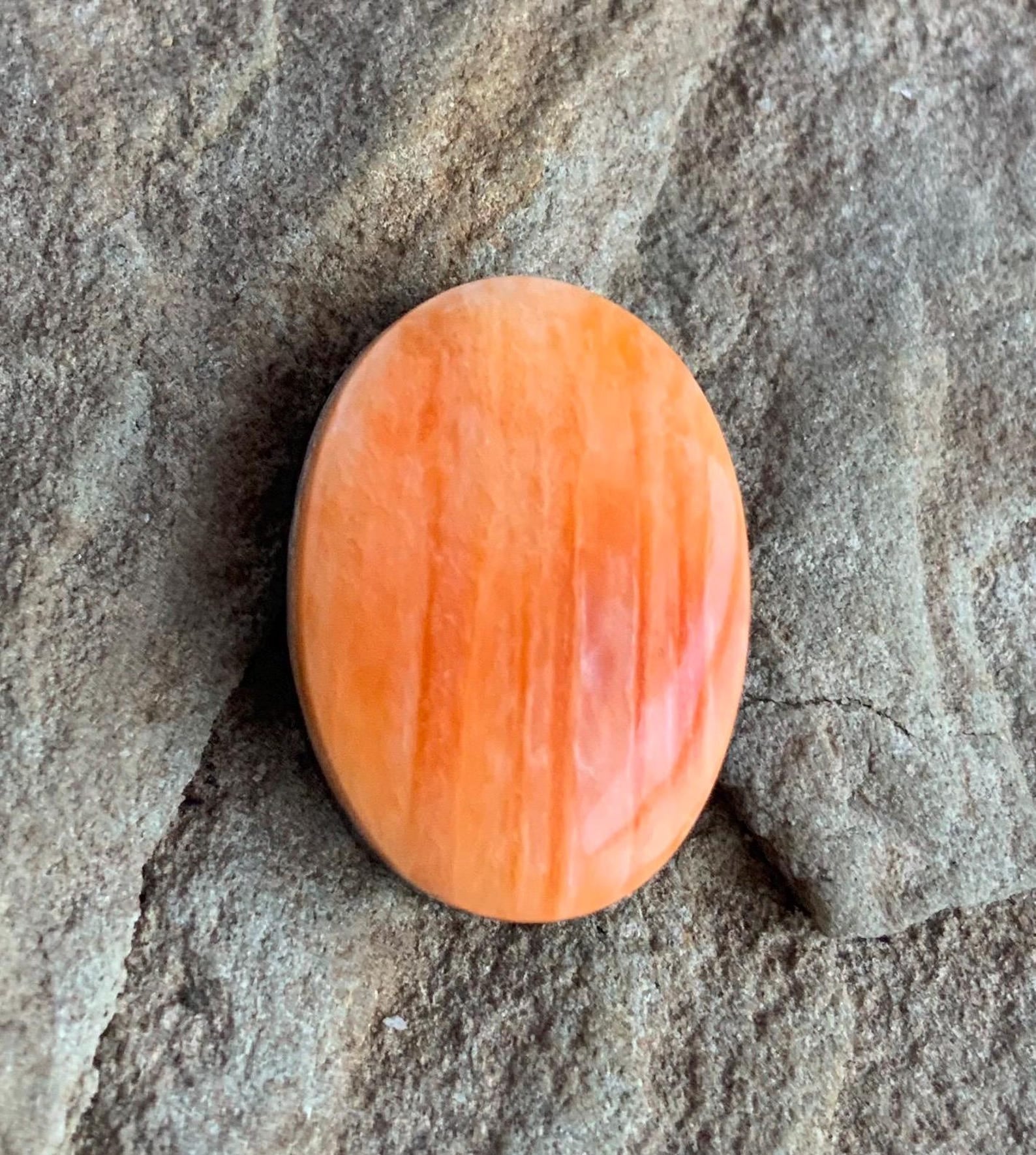 Spiny Oyster Cabochons