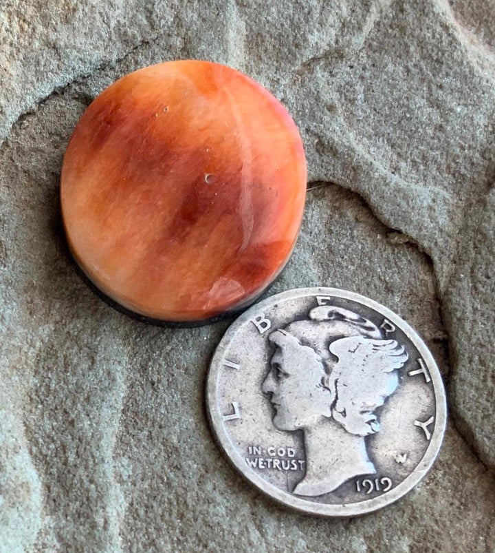 Orange Spiny Oyster Round Cabochon
