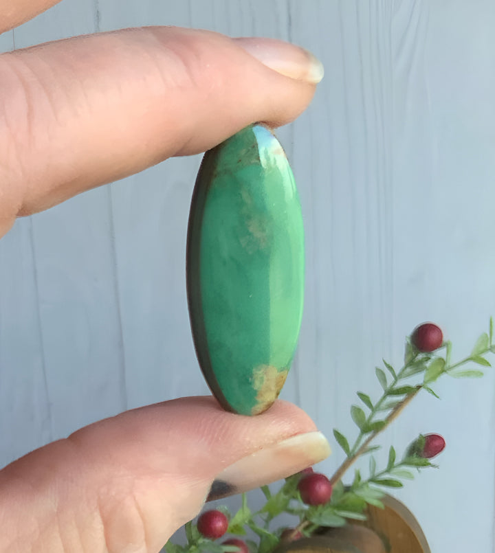 Royston Turquoise Green Long Oval Cabochon