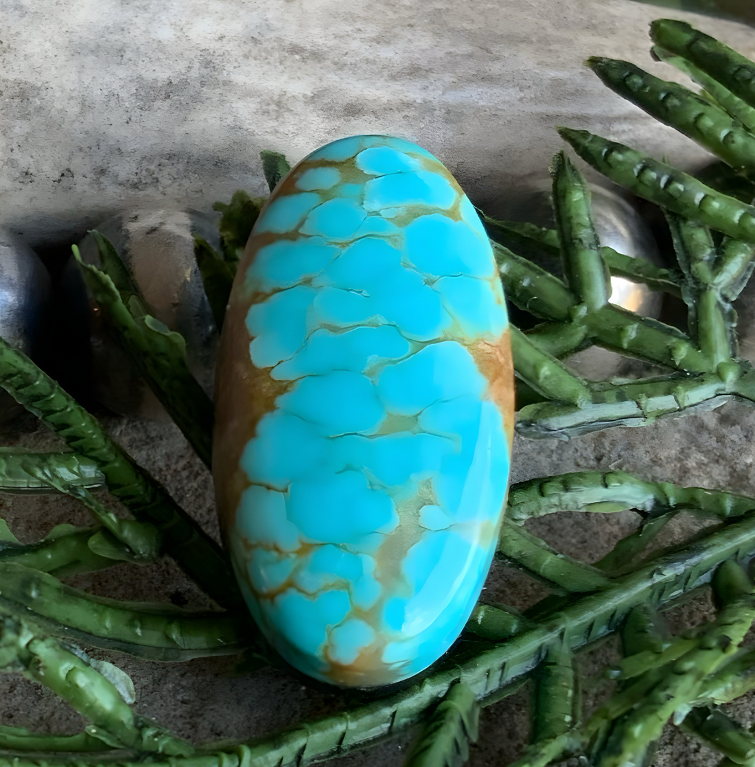 Number 8 Turquoise Oval Cabochon