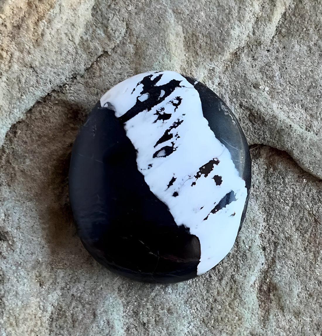 Natural White Buffalo Oval