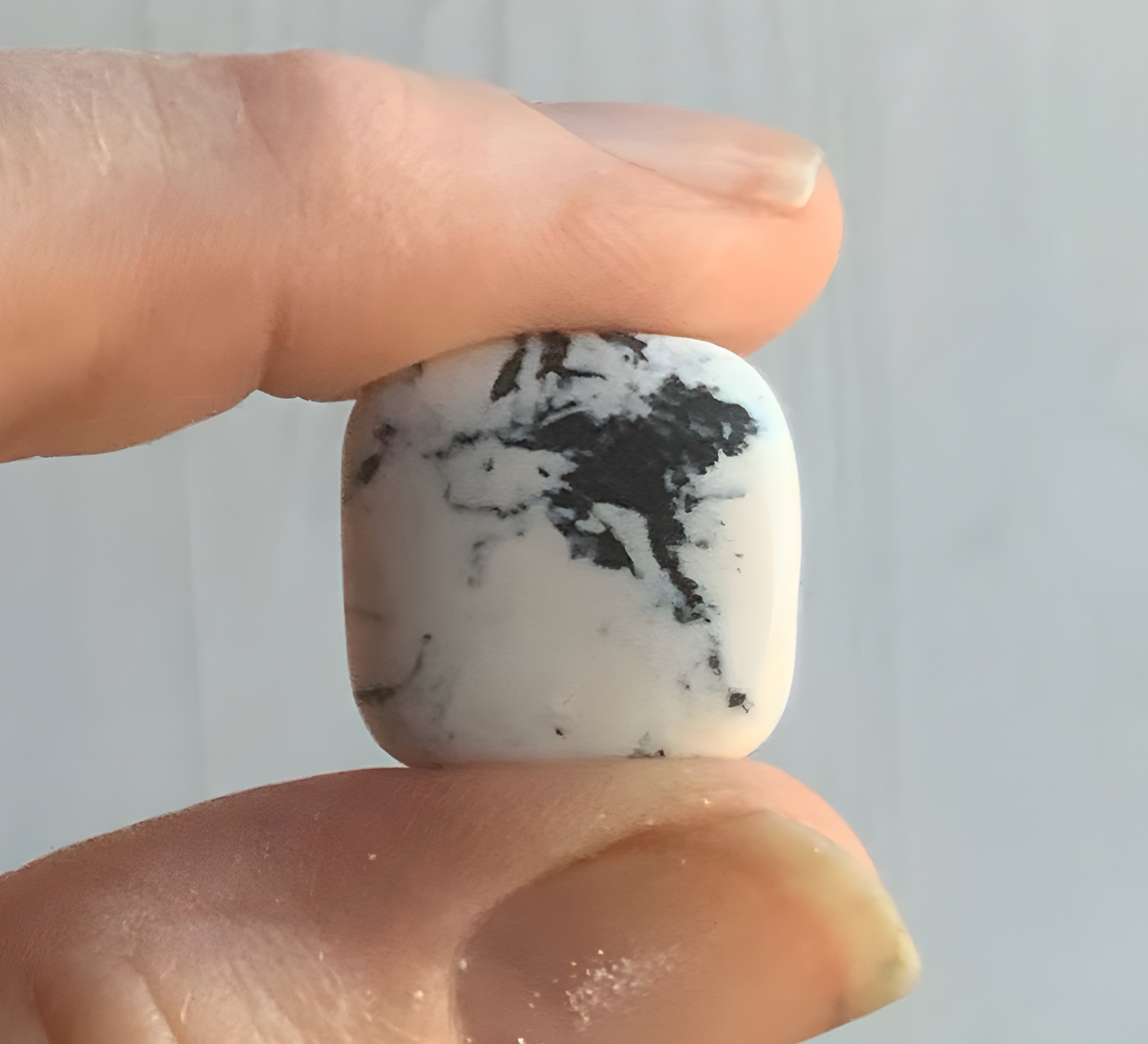 Natural White Buffalo Square Cabochon