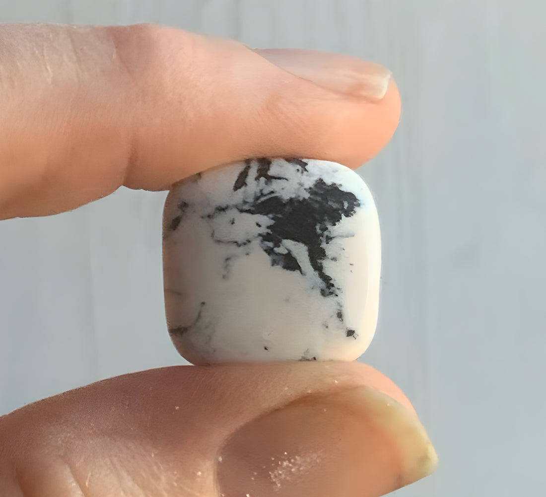 Natural White Buffalo Square Cabochon