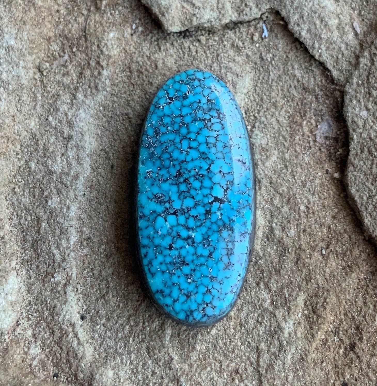 High Grade Black Web Kingman Turquoise Cabochon