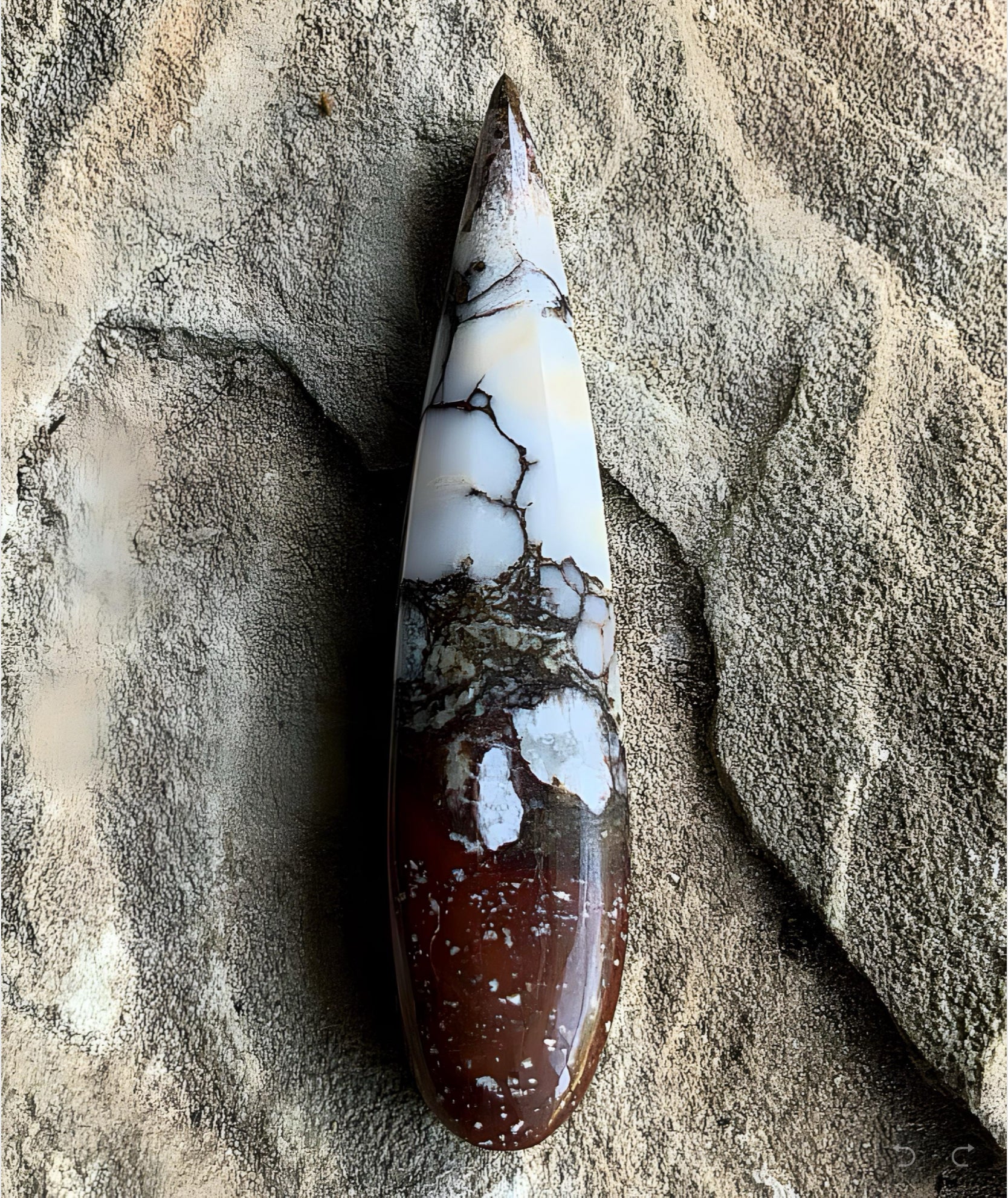 Incredible Wild Horse Magnesite Talon Cabochon