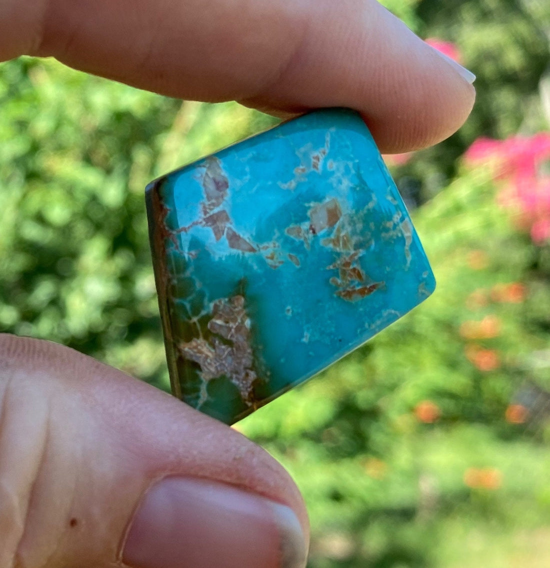 High Grade Natural Royston Polychrome Turquoise Cabochon #R2