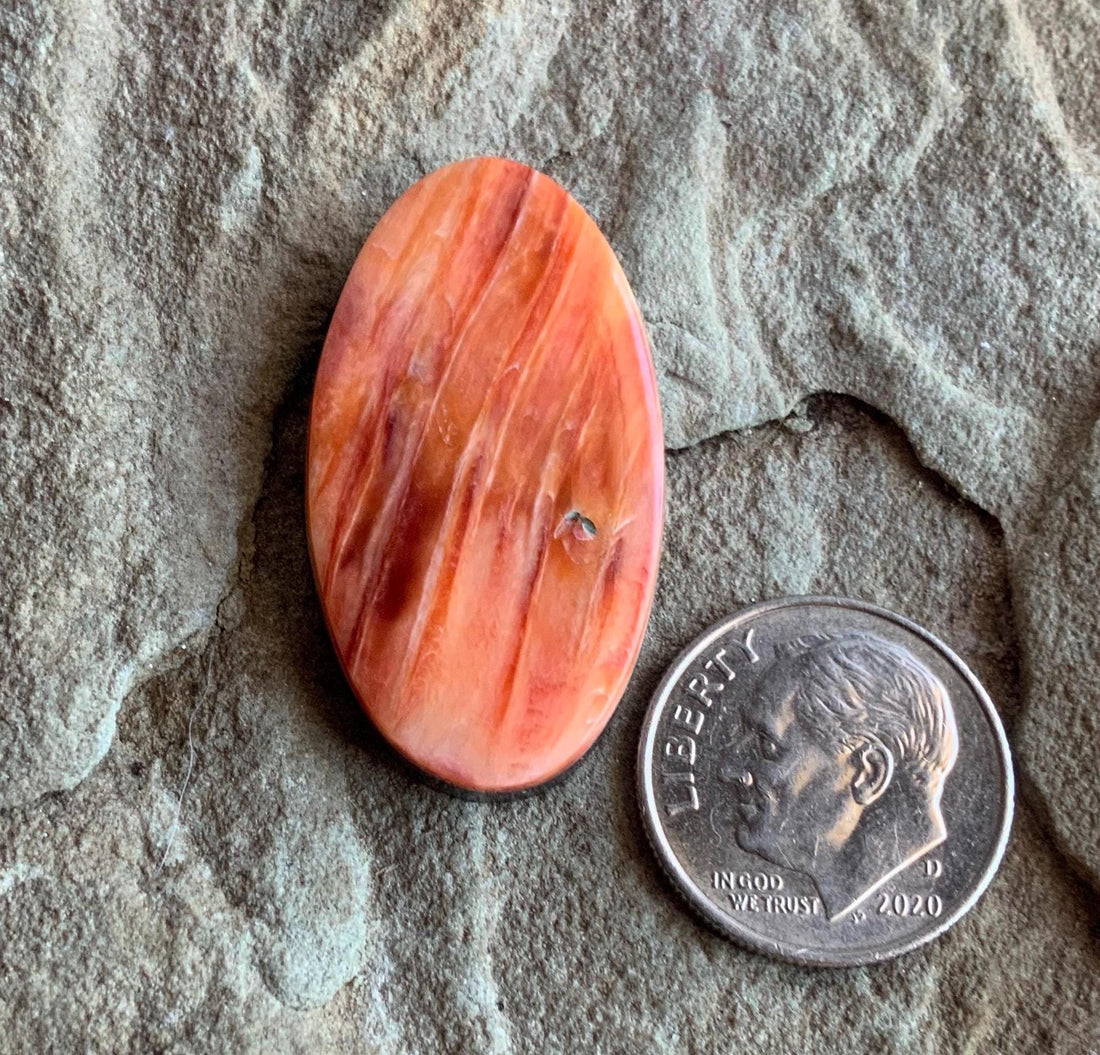 Beautiful Orange Spiny Oyster Long Oval Cabochon