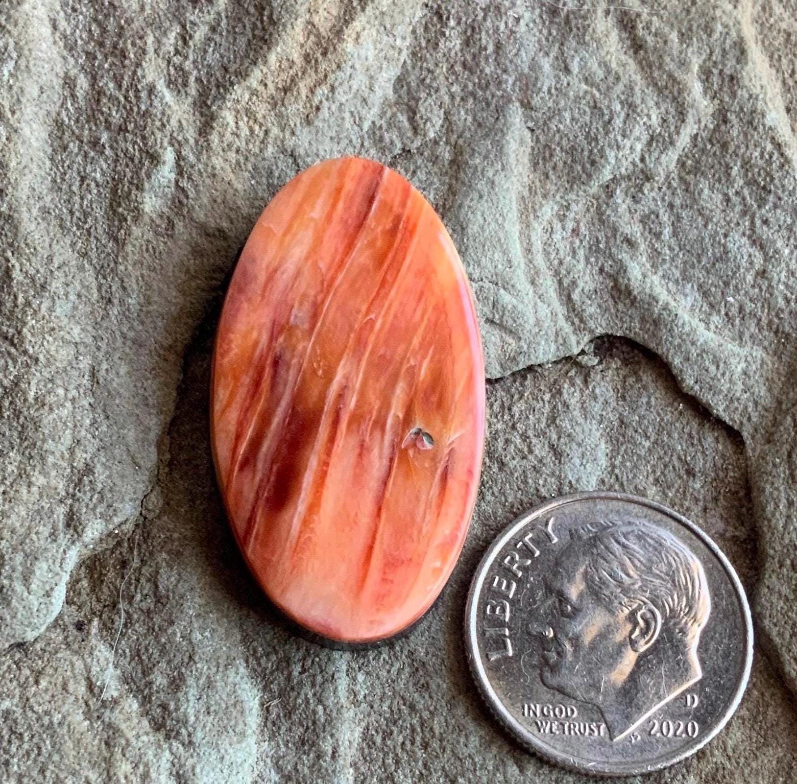 Beautiful Orange Spiny Oyster Long Oval Cabochon