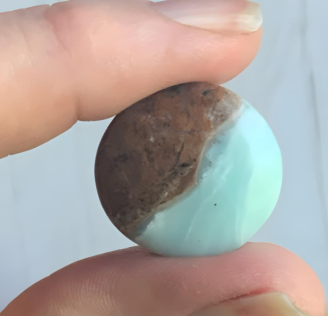 BC Ocean Picture Stone
