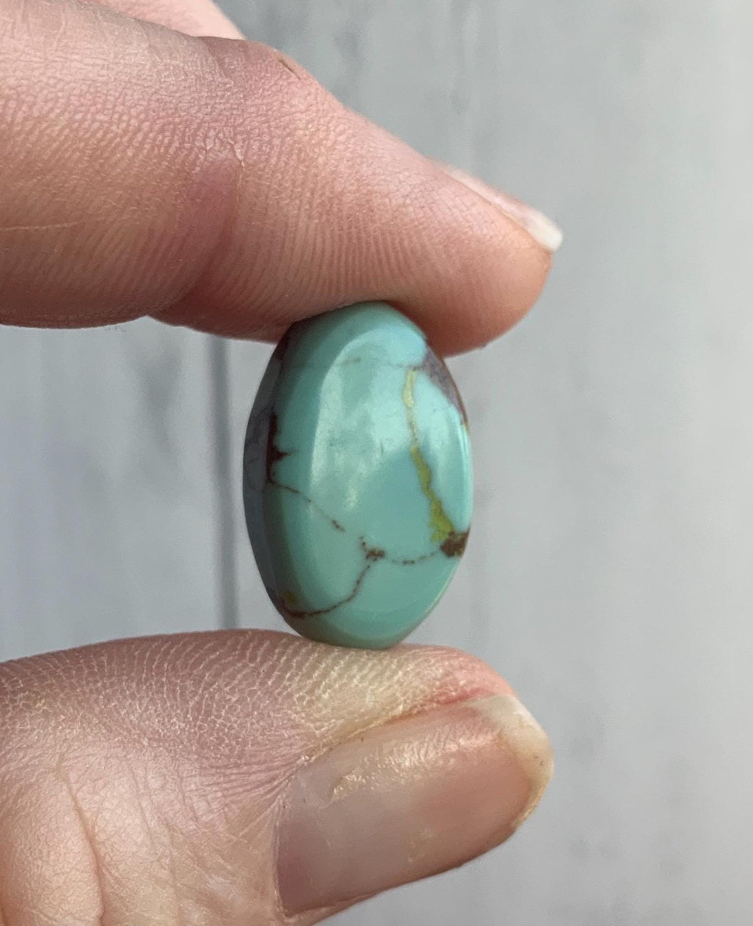Beautiful Gobi Desert Lavender Turquoise Oval Cabochon #G127a