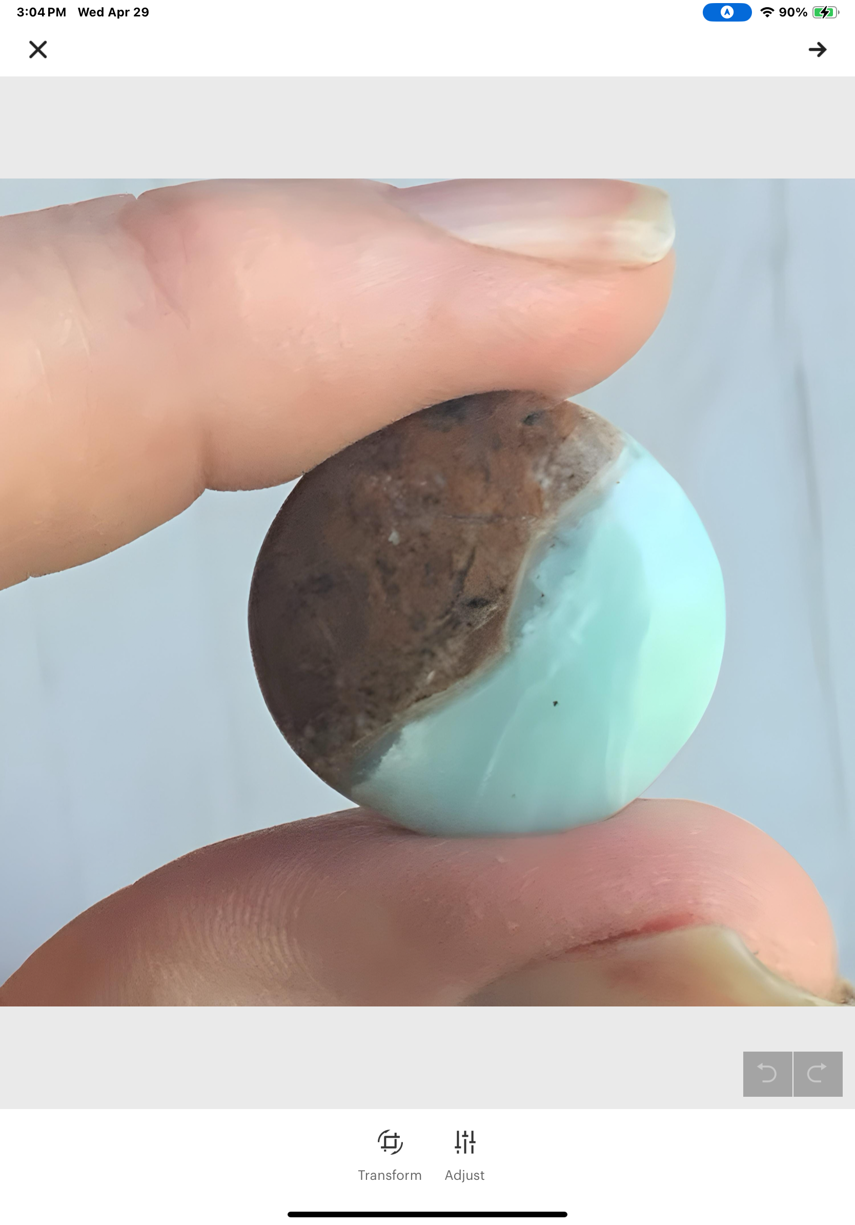 BC Ocean Picture Stone