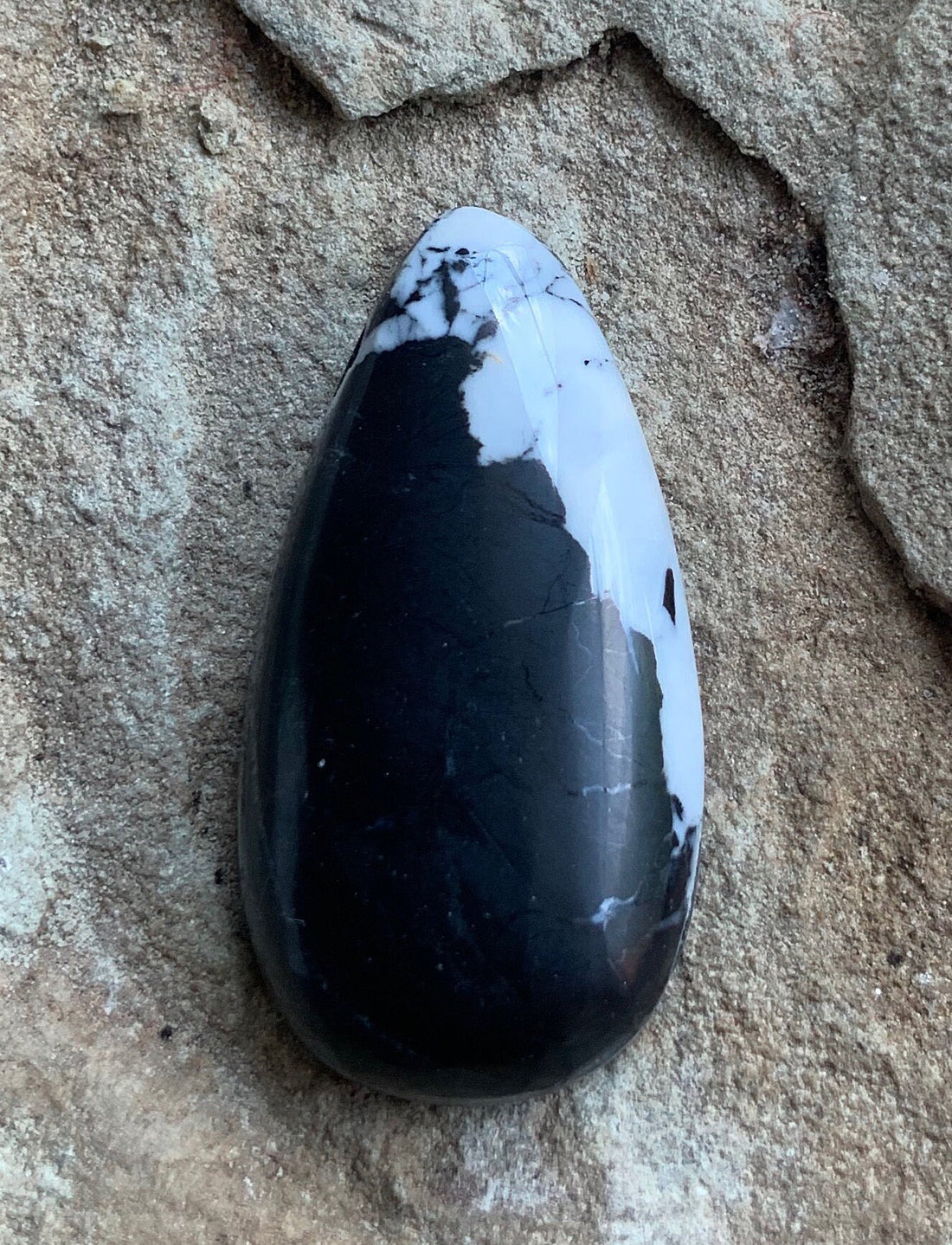 Stunning Natural White Buffalo Teardrop Cabochon