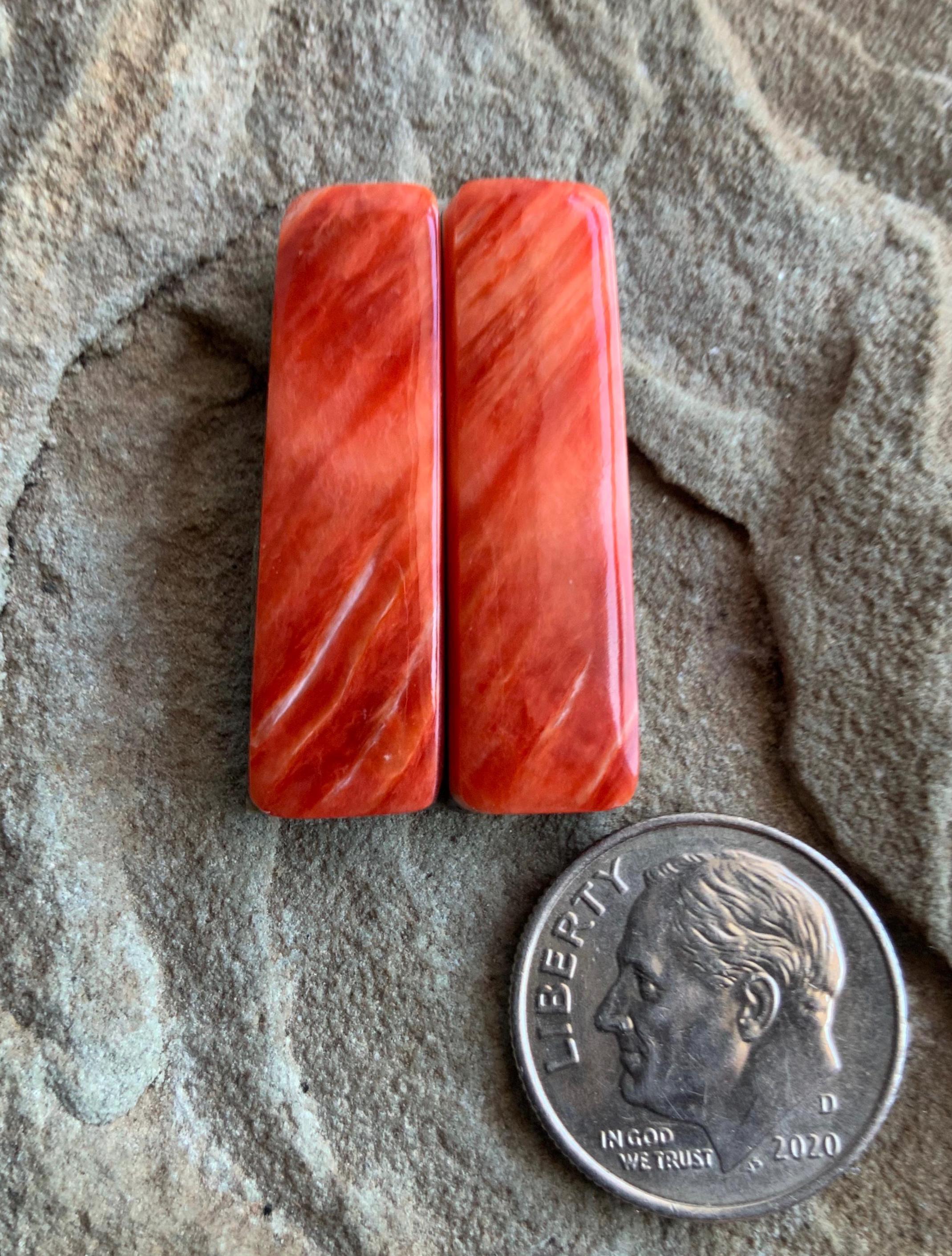 Orange Spiney Oyster Rectangular Earring Cabochons