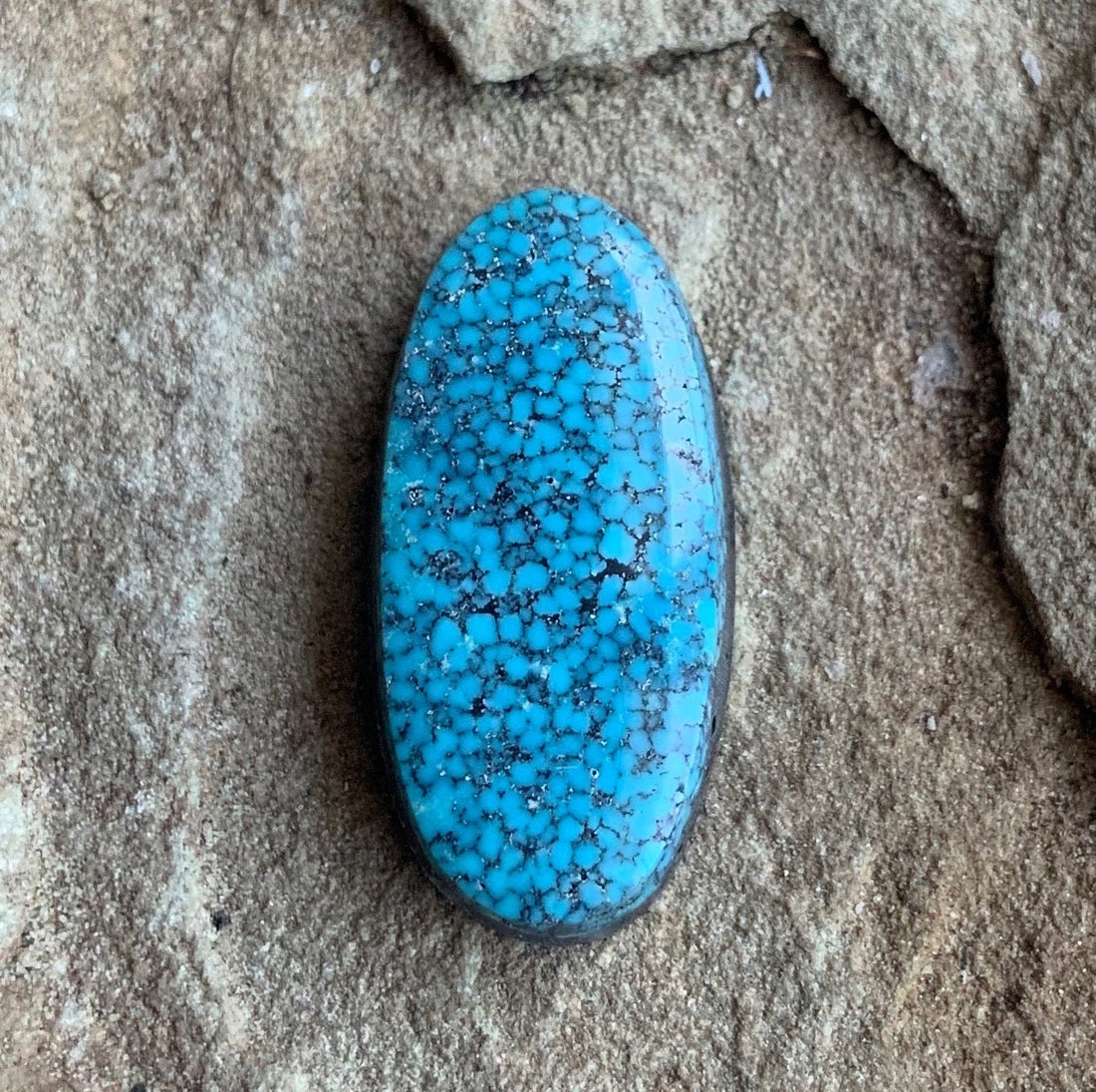 High Grade Black Web Kingman Turquoise Cabochon