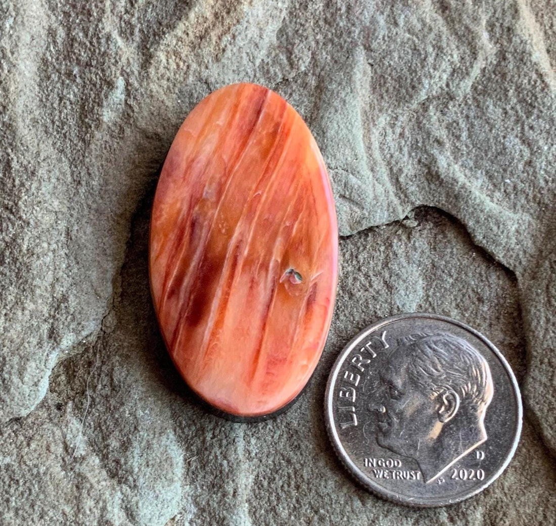 Beautiful Orange Spiny Oyster Long Oval Cabochon