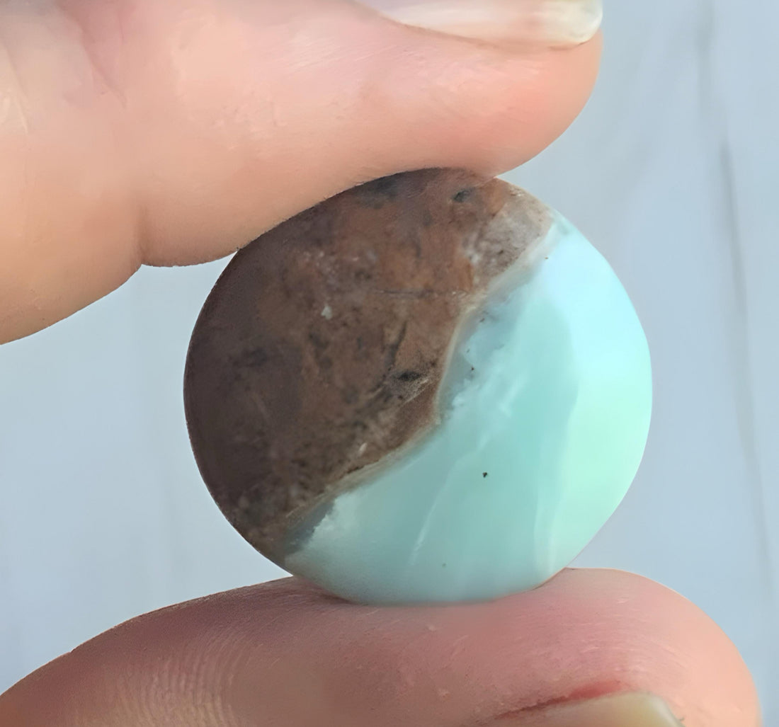 BC Ocean Picture Stone
