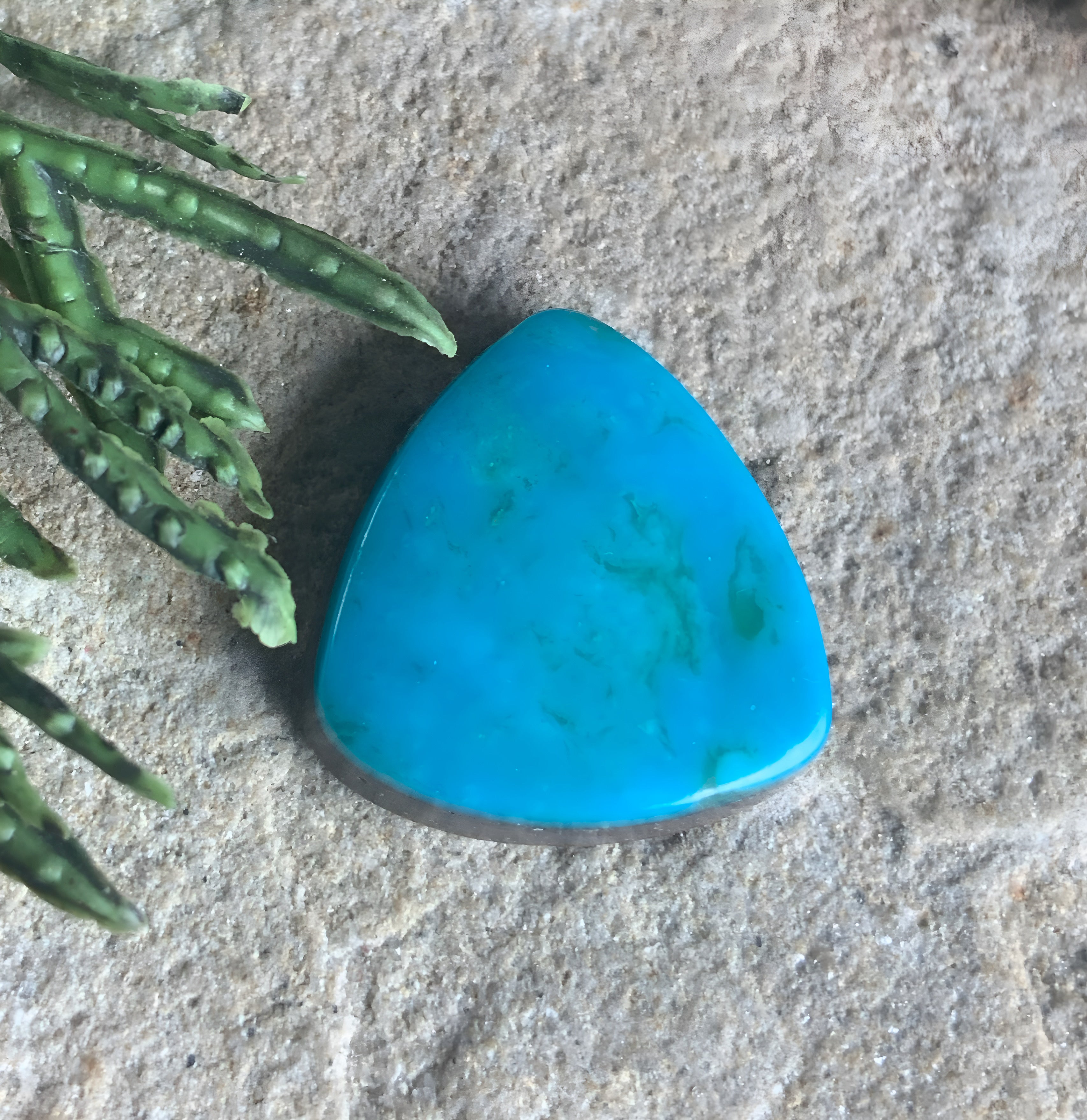 Turquoise Mountain Turquoise Trillion Cabochon