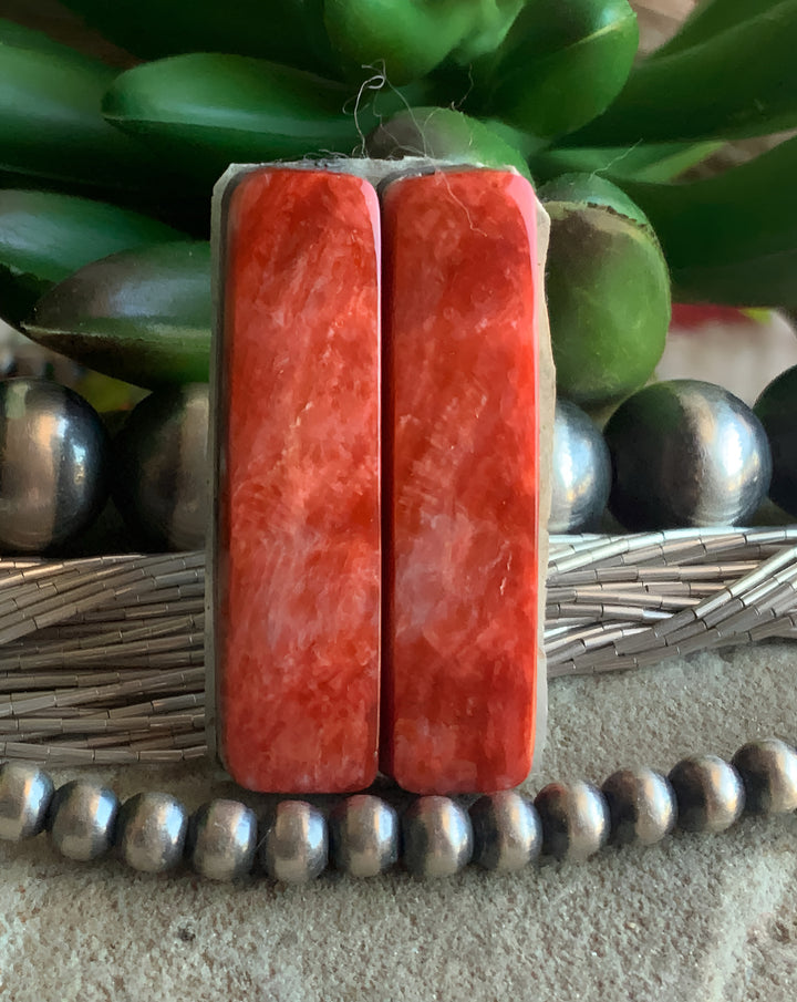 Orange Spiney Oyster Rectangular Earring Cabochons