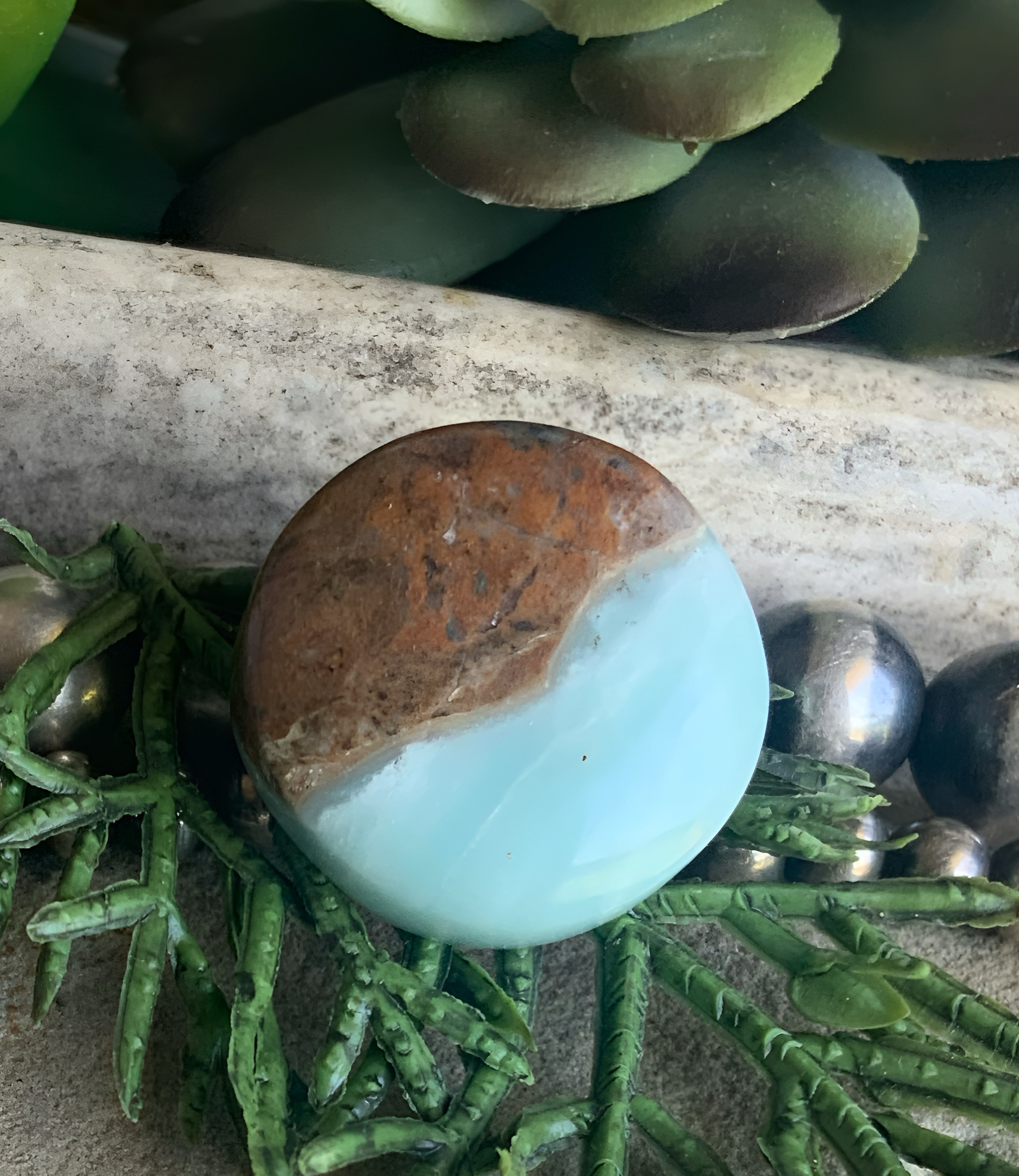 BC Ocean Picture Stone