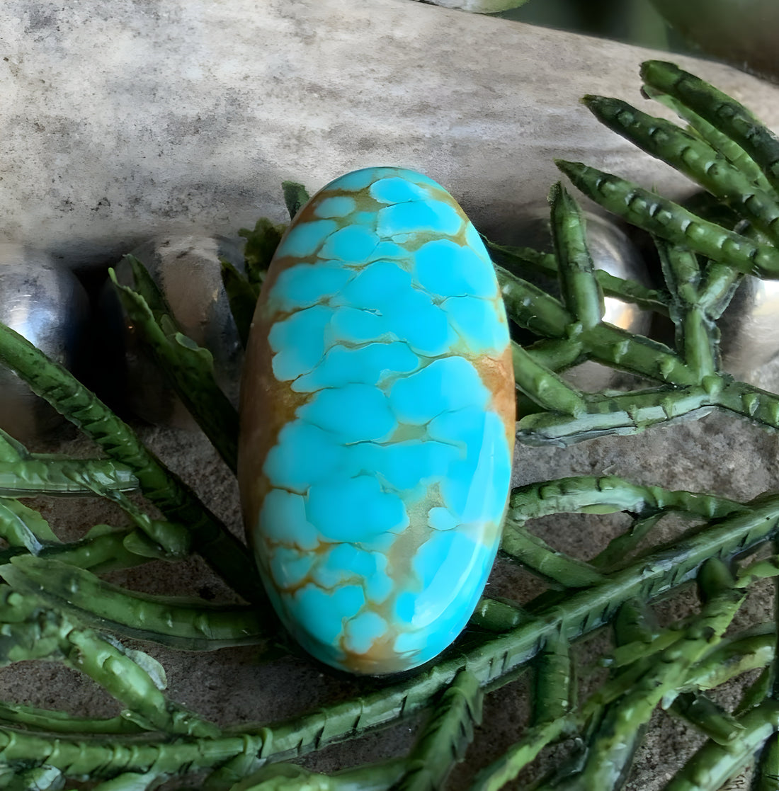 Number 8 Turquoise Oval Cabochon