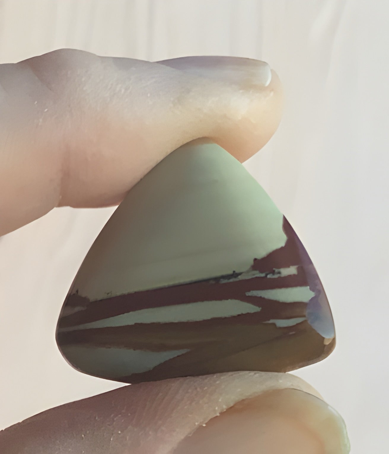 Owyee Jasper Triangle Cabochon