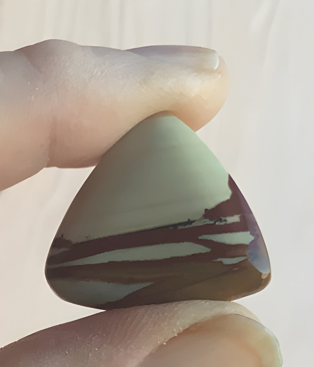 Owyee Jasper Triangle Cabochon