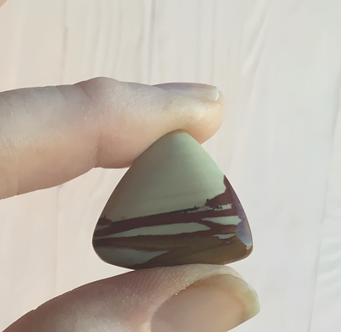 Owyee Jasper Triangle Cabochon
