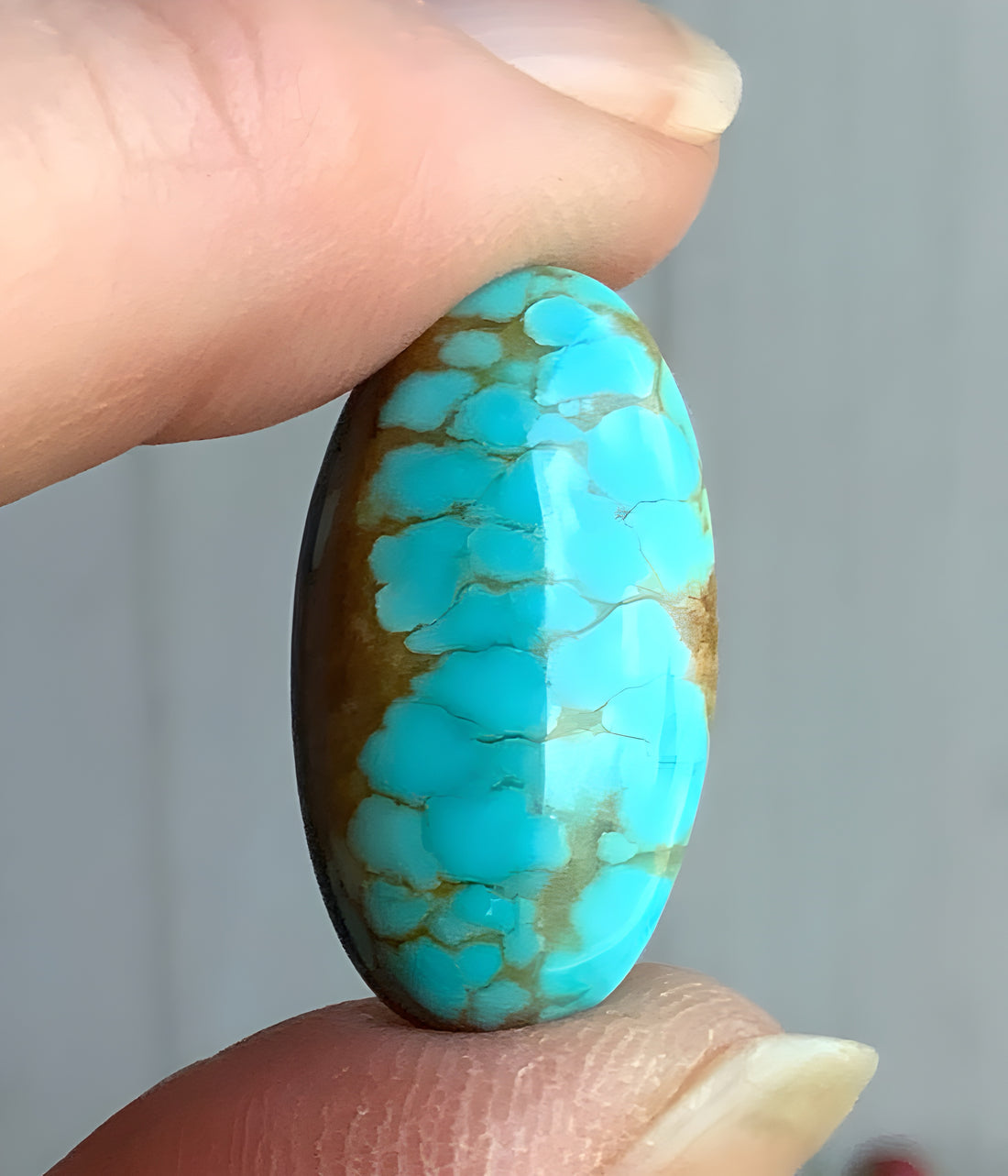Number 8 Turquoise Oval Cabochon
