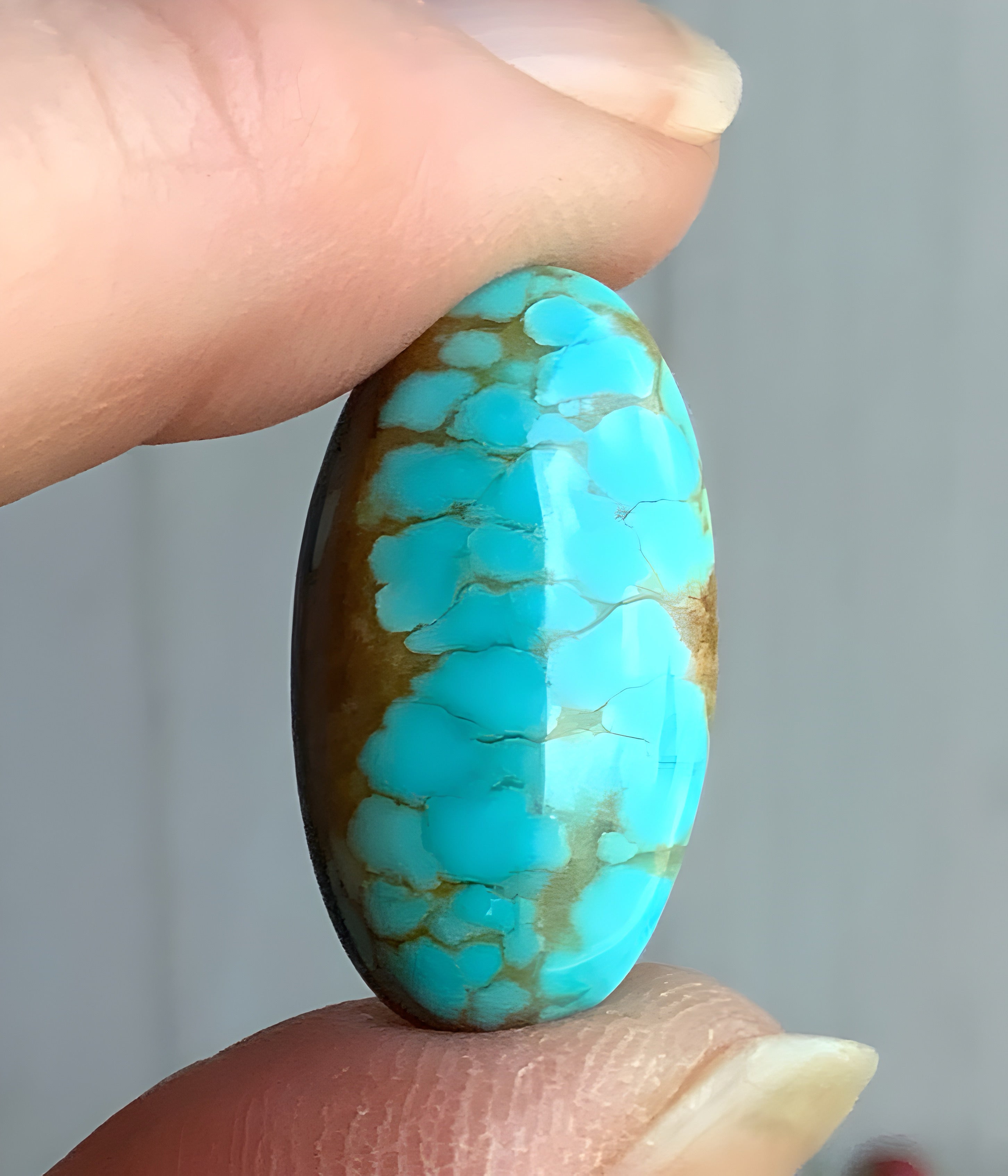Number 8 Turquoise Oval Cabochon