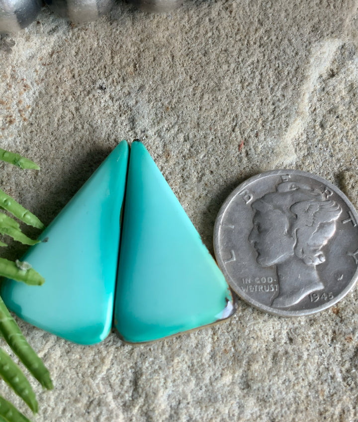 Emerald Rose Variscite Earring Cabochons