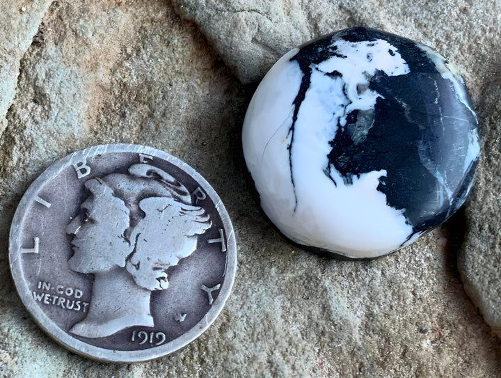 White Buffalo Round Cabochon