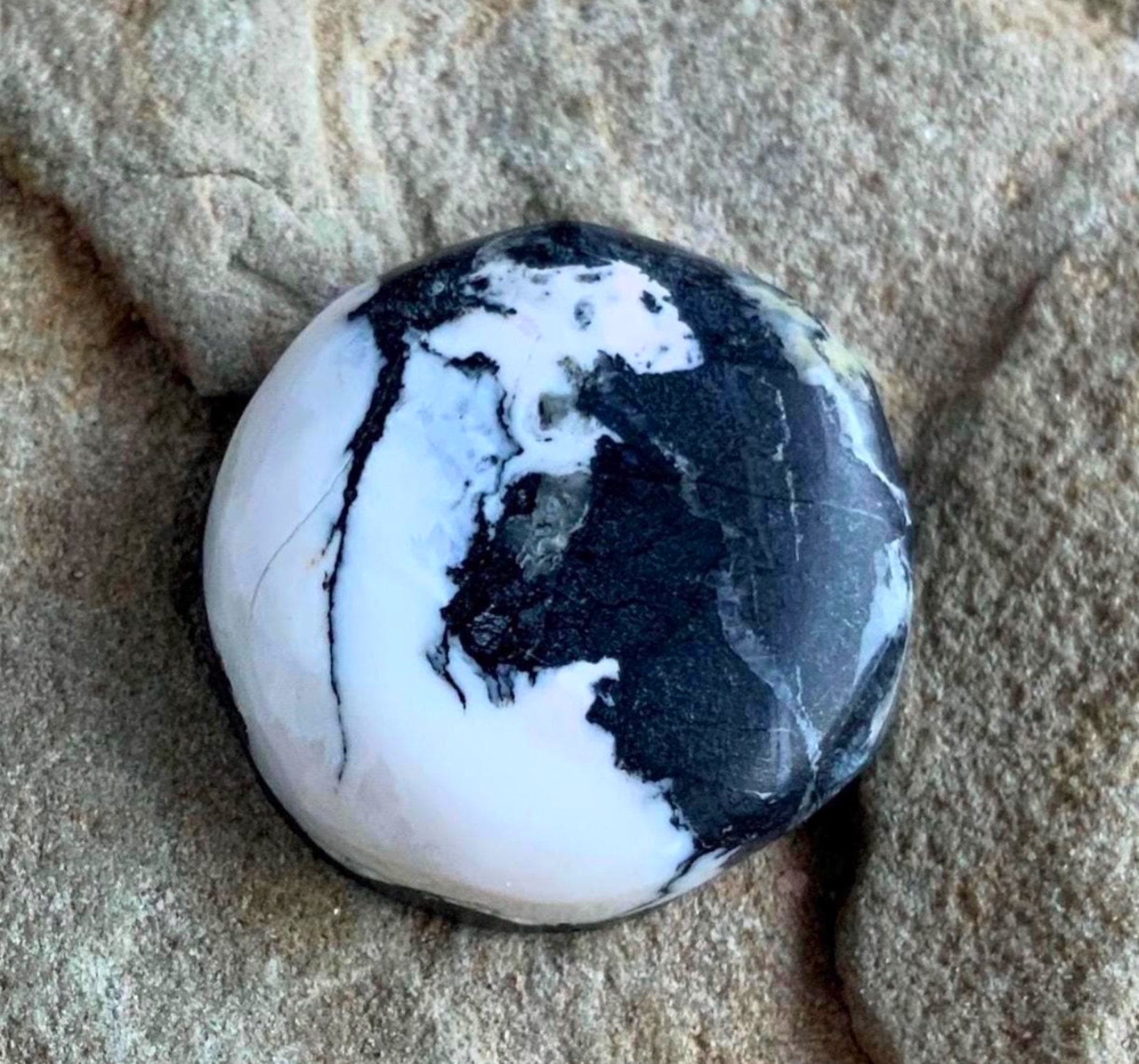 White Buffalo Round Cabochon