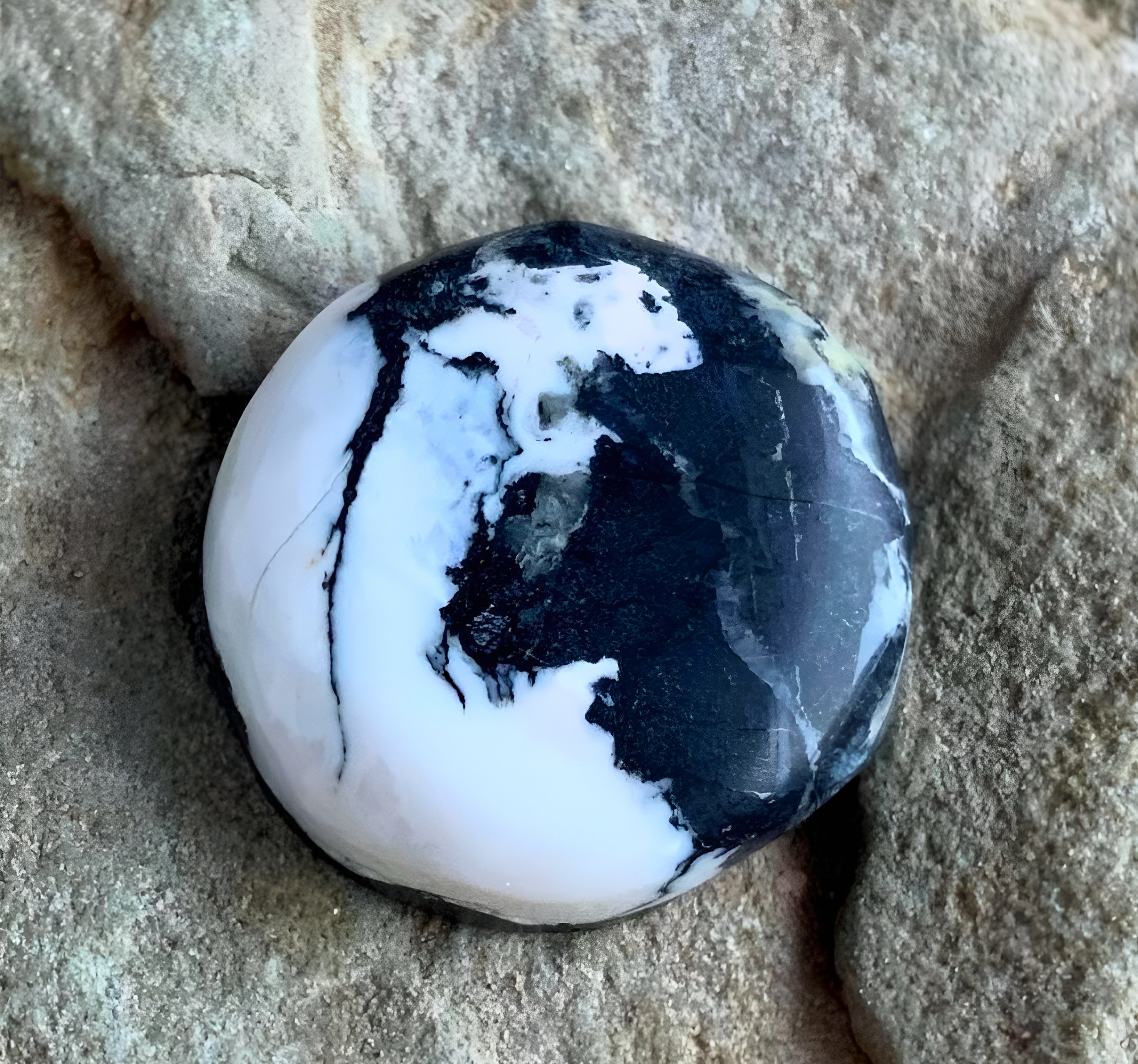 White Buffalo Round Cabochon