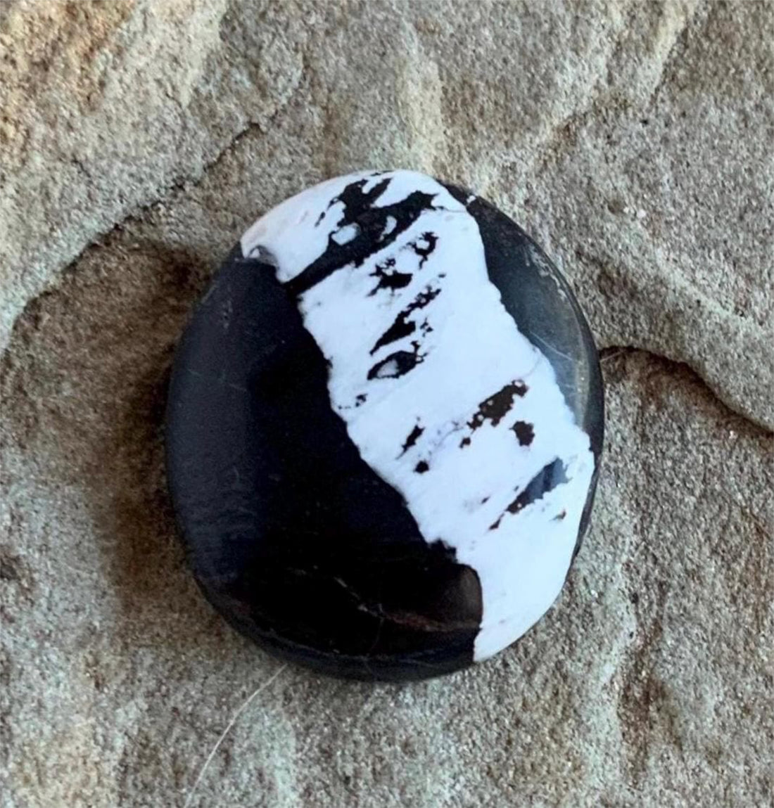 Natural White Buffalo Oval