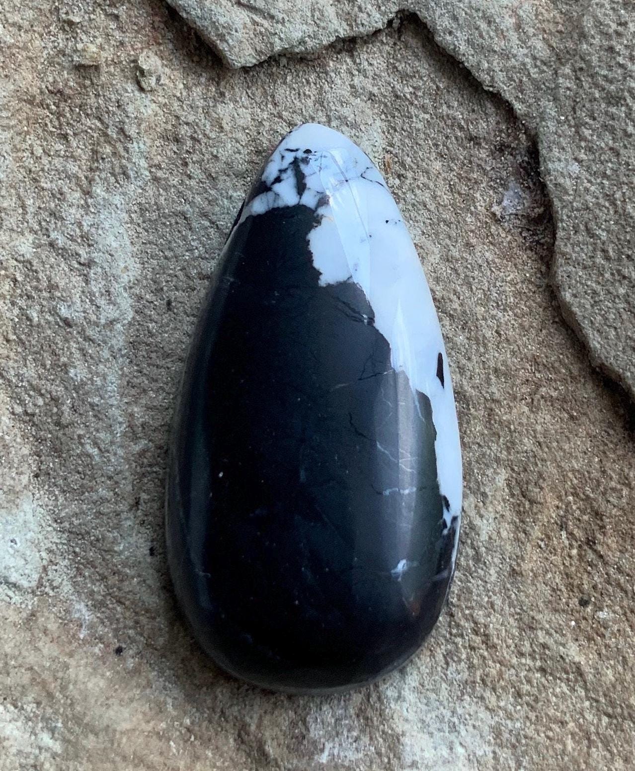 Stunning Natural White Buffalo Teardrop Cabochon