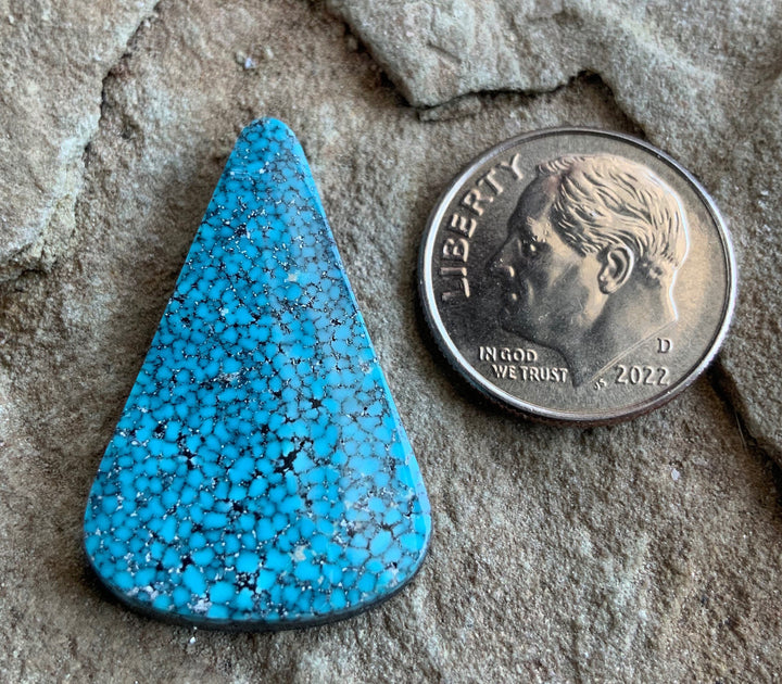 High Grade Black Web Kingman Turquoise Triangular Cabochon