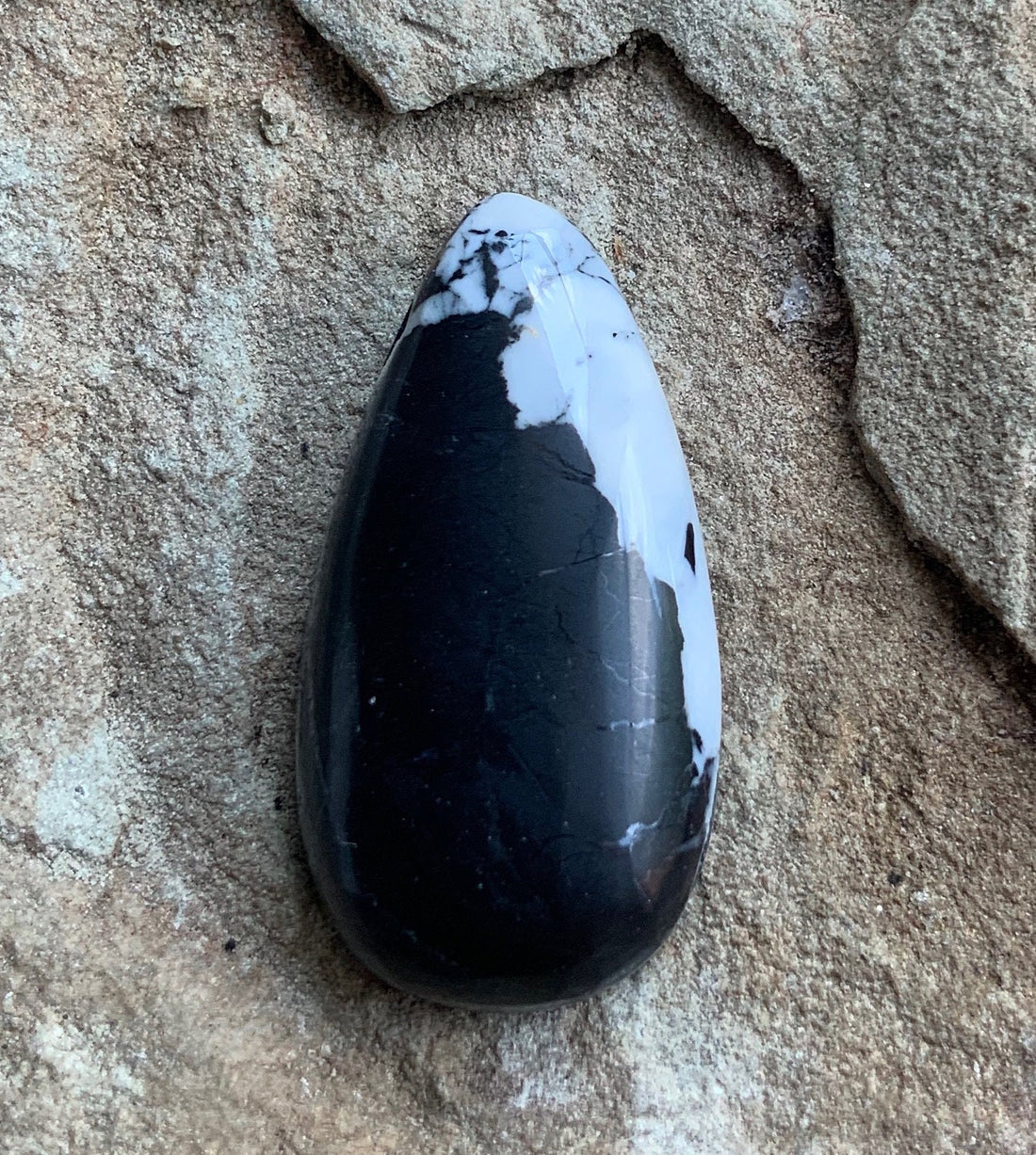 Stunning Natural White Buffalo Teardrop Cabochon