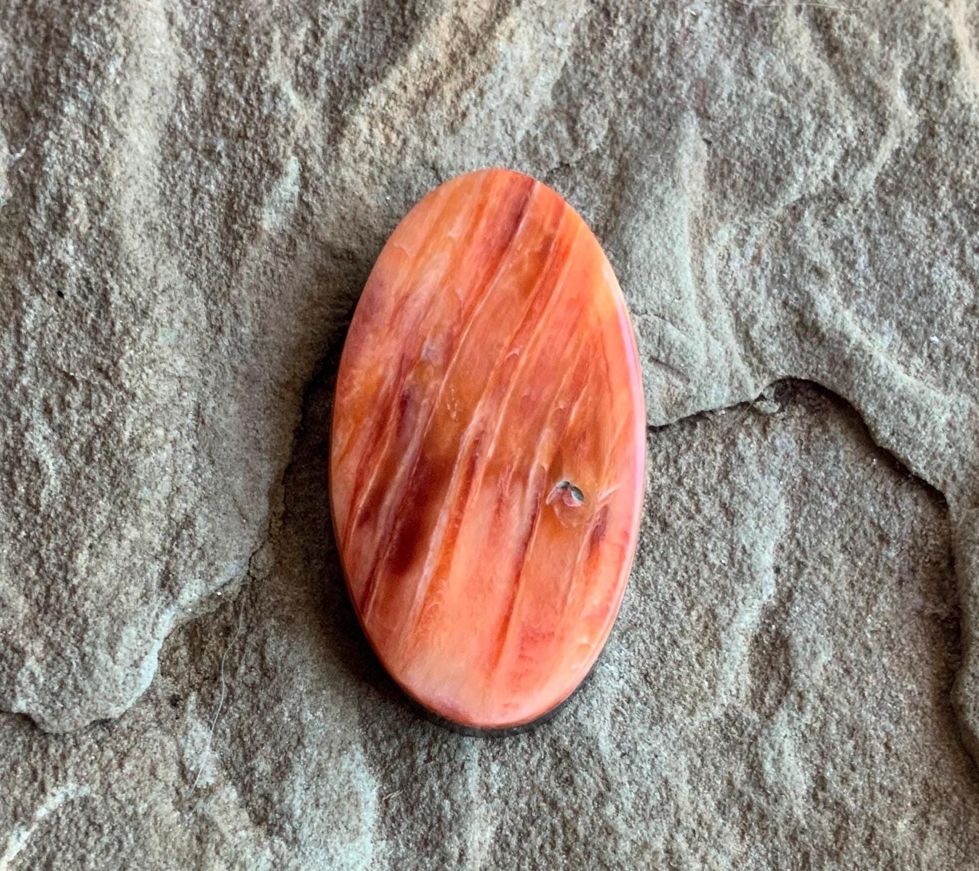 Beautiful Orange Spiny Oyster Long Oval Cabochon