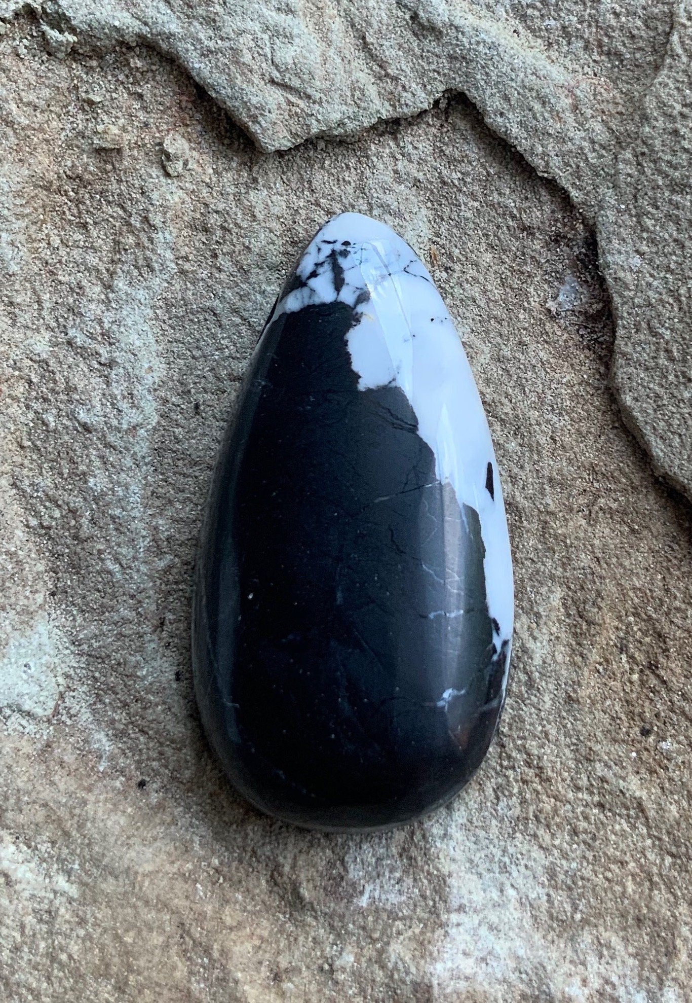 Stunning Natural White Buffalo Teardrop Cabochon