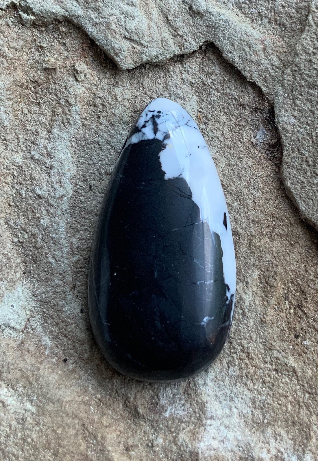 Stunning Natural White Buffalo Teardrop Cabochon