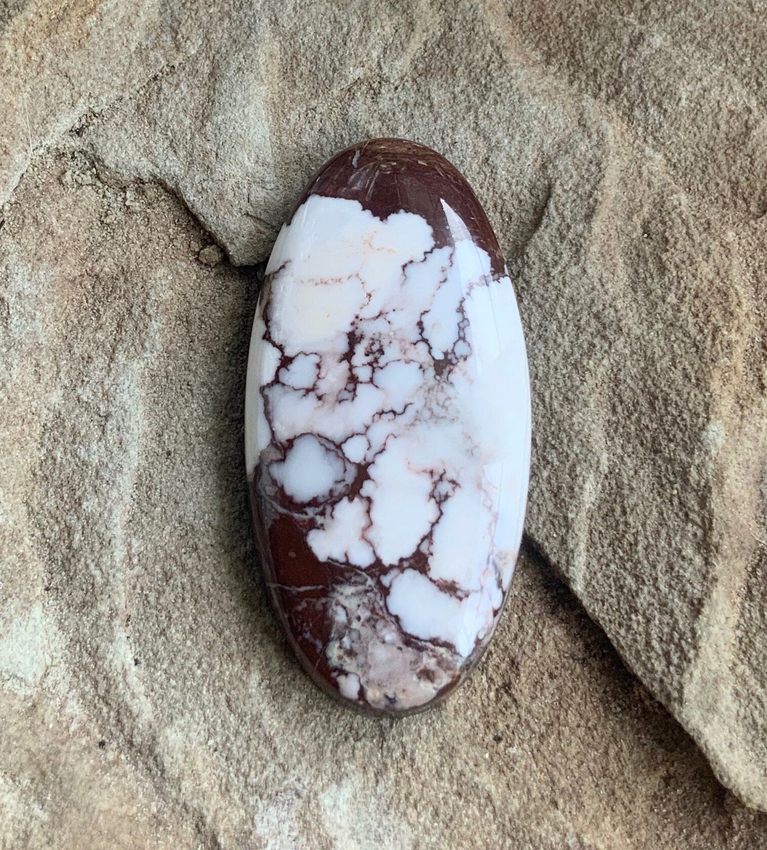 Incredible Wild Horse Magnesite Oval Cabochon