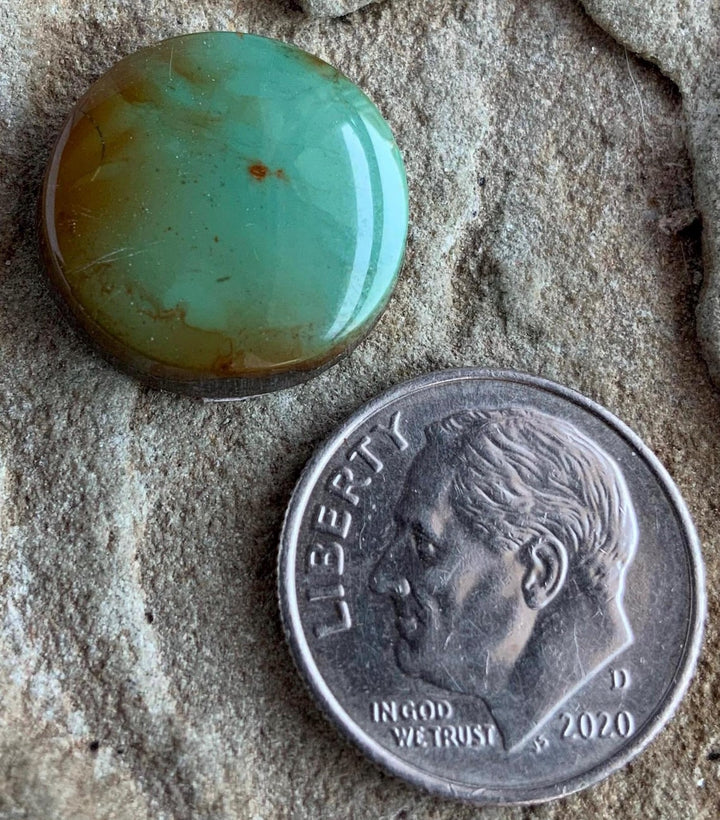 Green Alacron Turquoise Round Cabochon