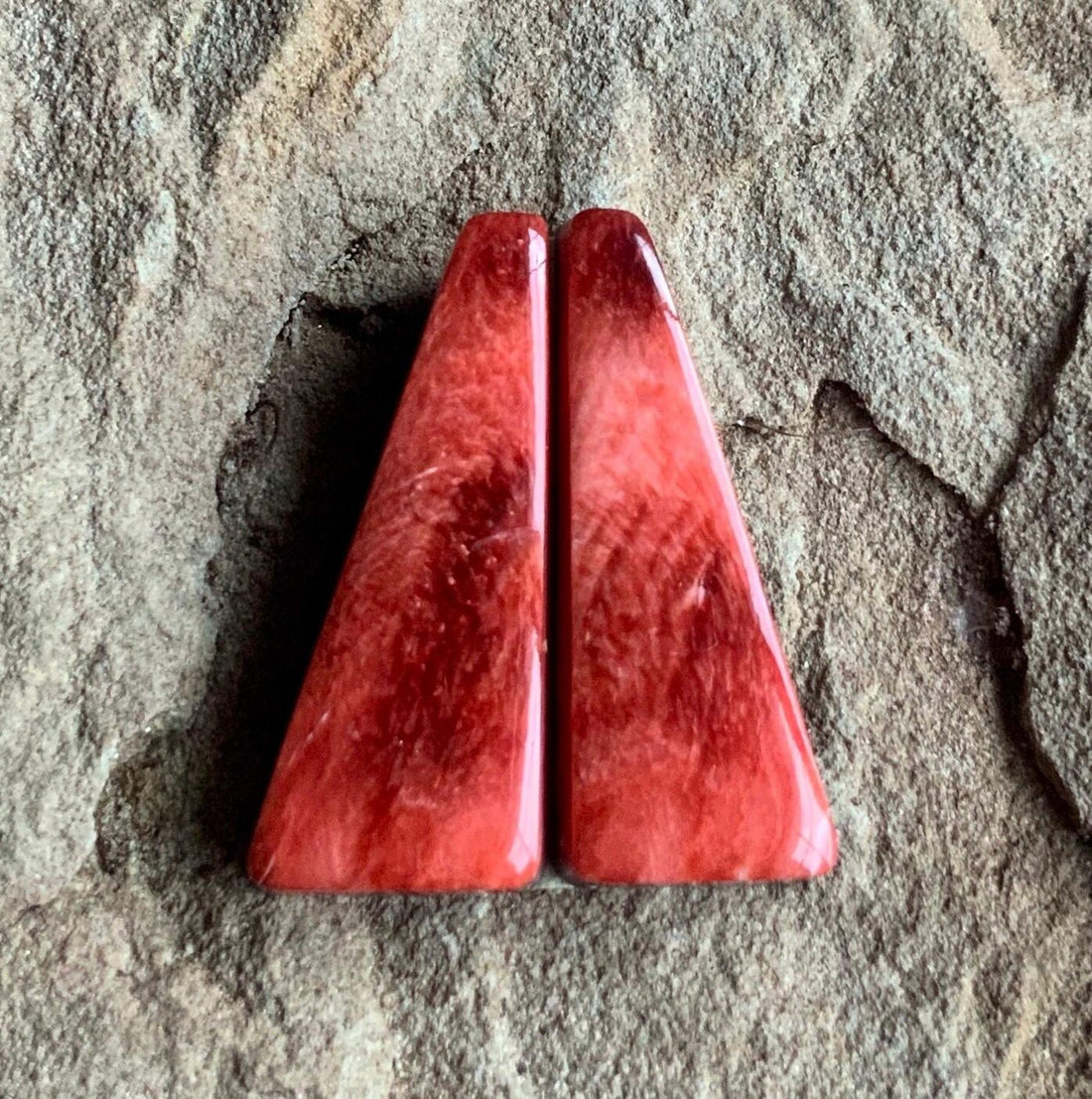 Stunning Orange Spiney Oyster Earring Cabochons 185