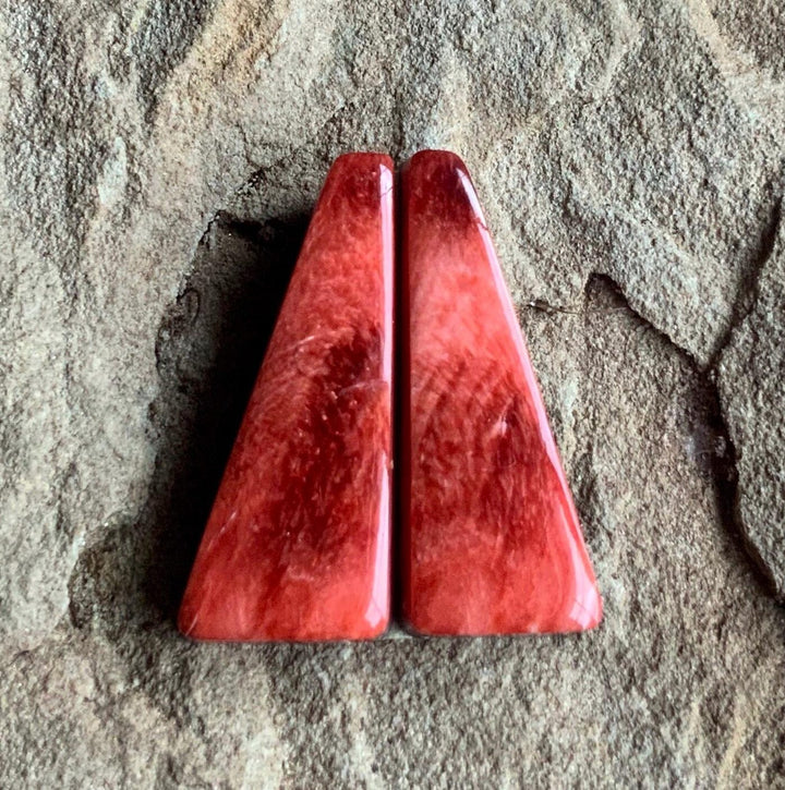 Stunning Orange Spiney Oyster Earring Cabochons 185